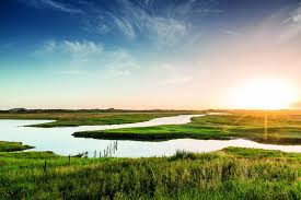boswandeling west vlaanderen