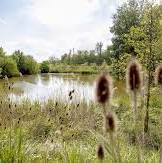 natuurgebieden oost vlaanderen