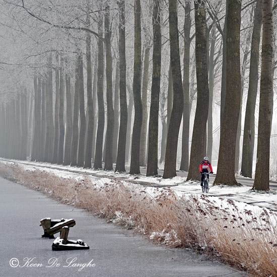 dagje weg west vlaanderen