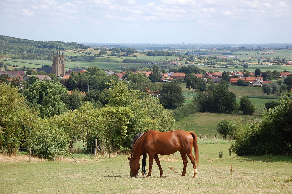 heuvelland west vlaanderen