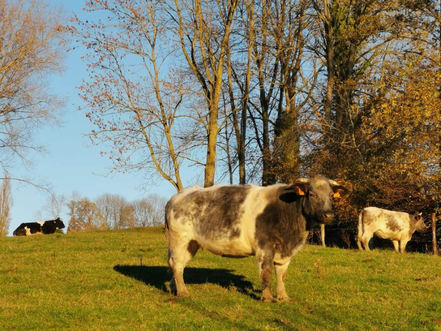 natuur oost vlaanderen