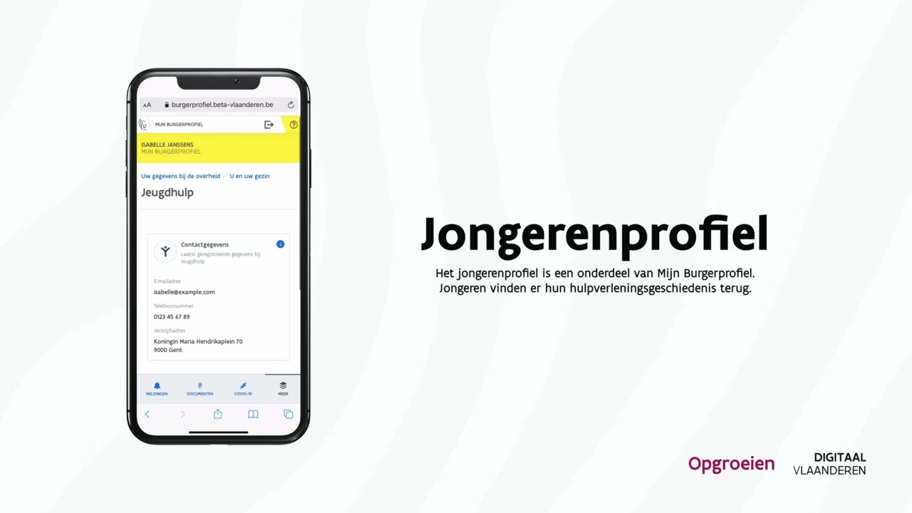 vlaanderen burgerprofiel