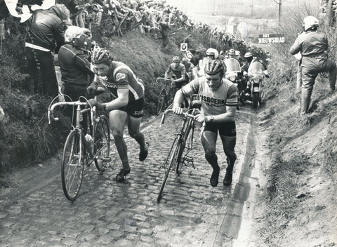 vvsg ronde van vlaanderen