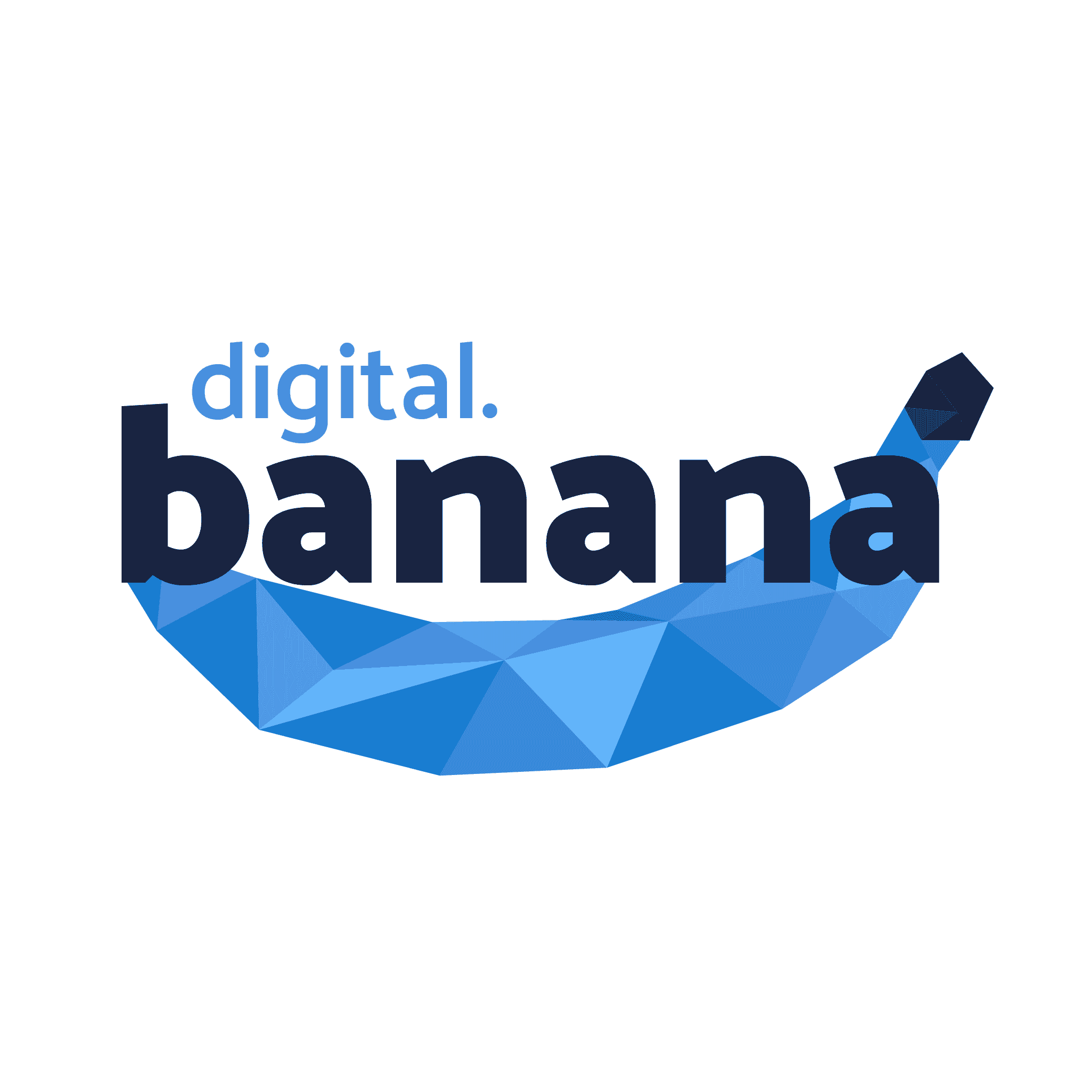 banaba digitale marketing