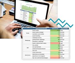 seo analyze