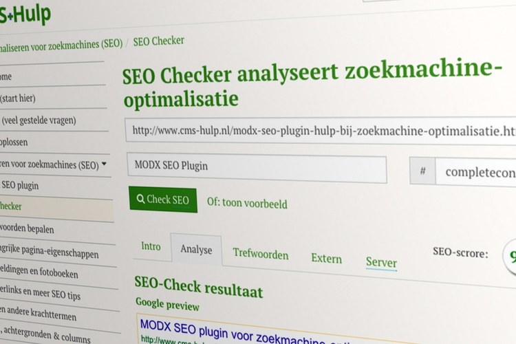 seo-test