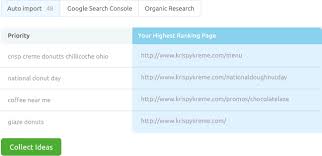 google seo check