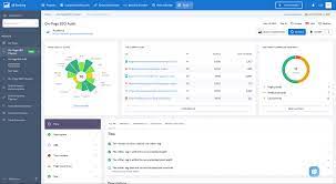 on page seo checker