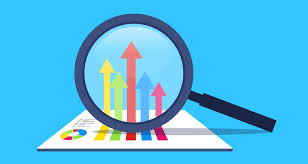 site seo check up