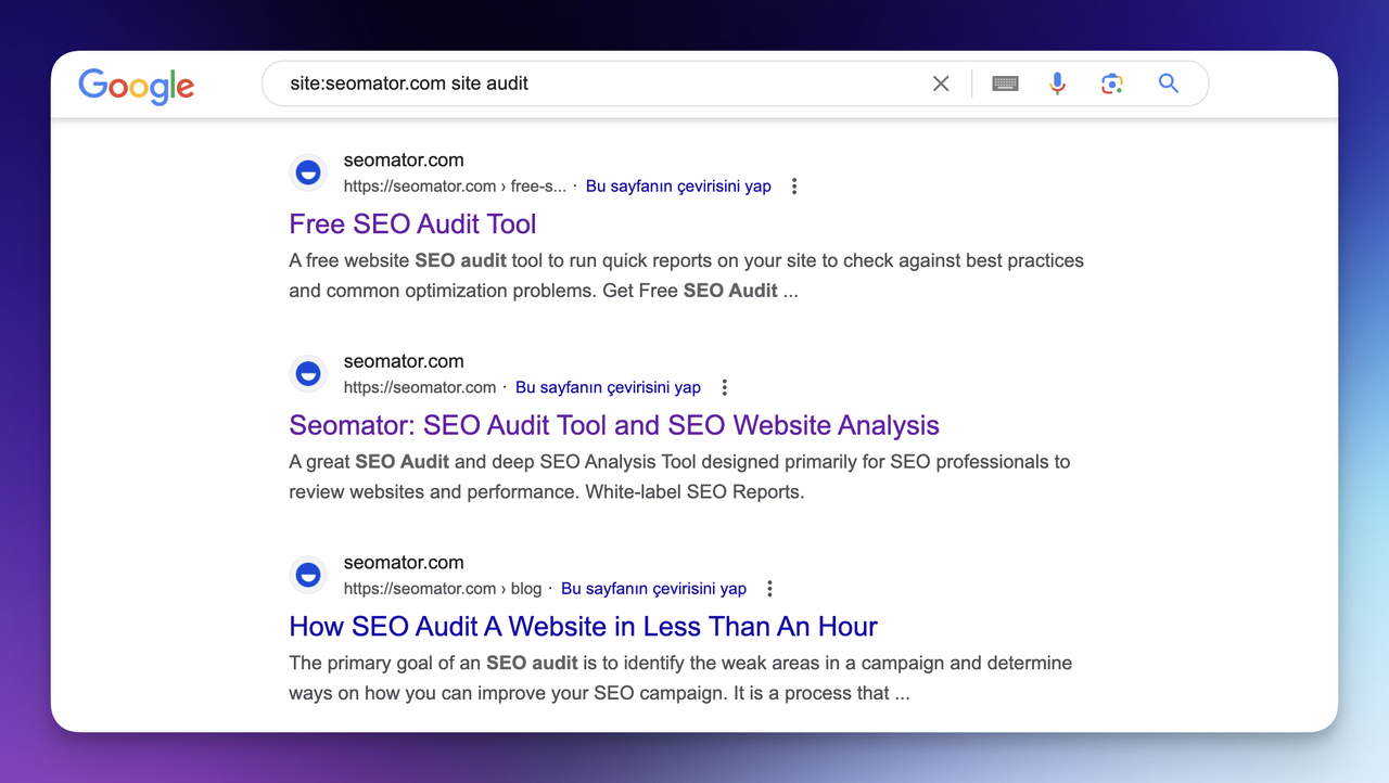 google seo site check
