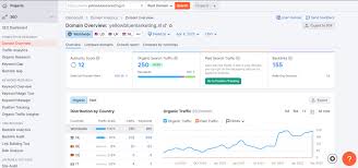 gratis seo analyse