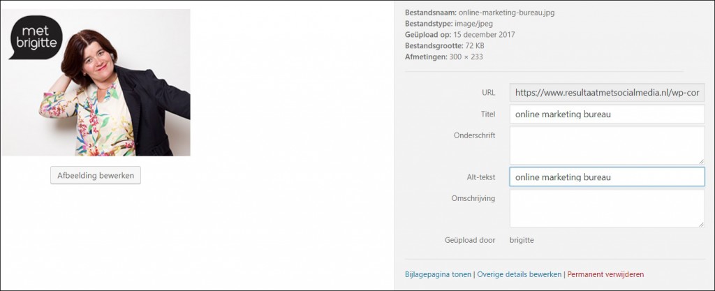 seo check tekst